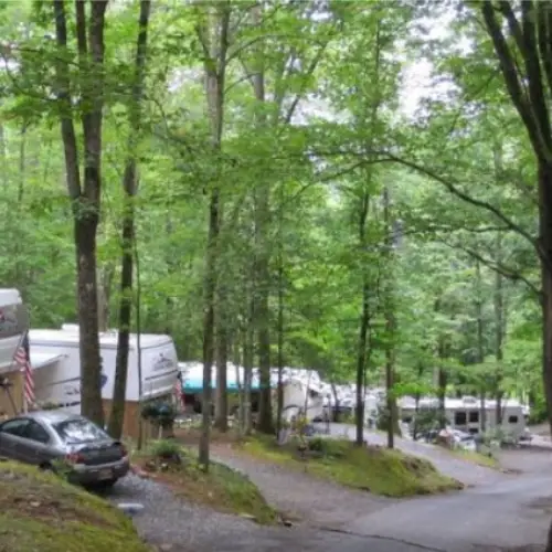 holly cove RV resort